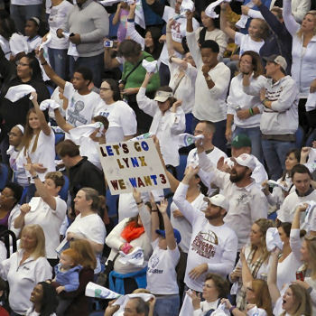 crowd